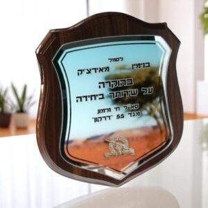 מגן הוקרה מעץ וזכוכית
