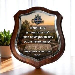 מגן הוקרה זכוכית