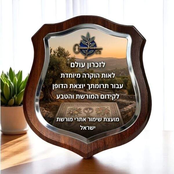 מגן הוקרה זכוכית