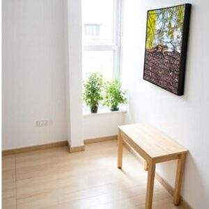 הדפסה על קנבס עם מסגרת מרחפת  גודל 30X45