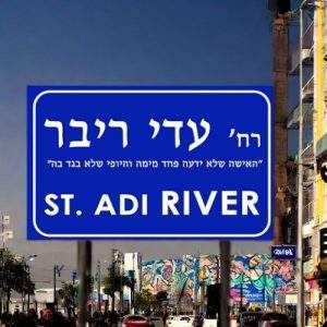 מגן הוקרה מתכת מידה 27X18