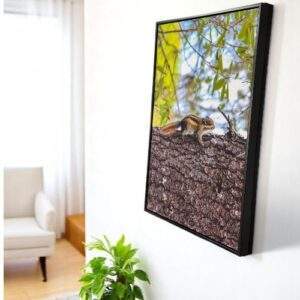 הדפסה על קנבס ממוסגר גודל 40X60 עם מסגרת מרחפת