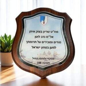 מגן הוקרה מזכוכית ועץ