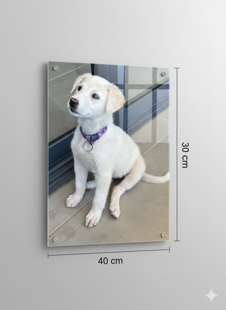 Gemini_Generated_Image_9p7a3u9p7a3u9p7a