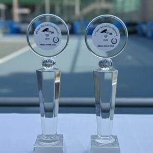 מגן הוקרה קריסטל עמוד