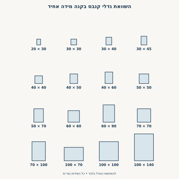 המחשת גדלי קנבס בס״מ בקנה מידה אחיד, מ־20×30 ועד100×140 — מדריך מידות