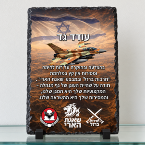 מגן הוקרה מאבן בזלת לאורך עם מטוס ומעמדים שחורים