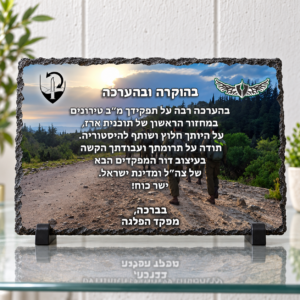 מגן הוקרה אבן בזלת לחיילים בעיצוב אישי על מעמדים שחורים ומדף זכוכית